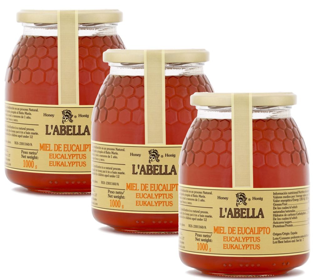 Eukalyptushonig aus Spanien - Premium Qualität- reines Naturprodukt- kaltgeschleudert- 3 x 1 Kg Glas